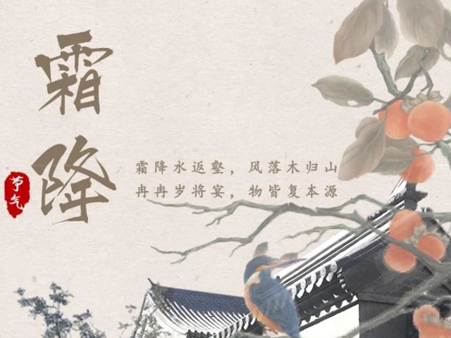 寒露|筑合海报