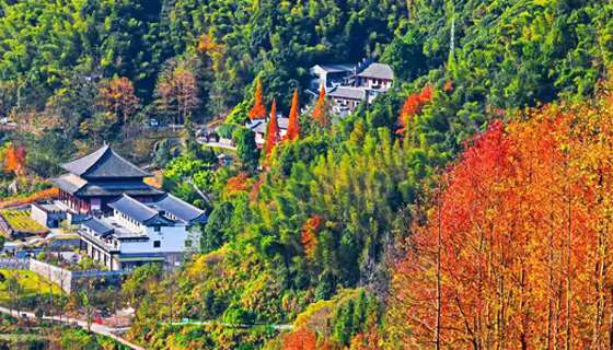 杨岐普通寺