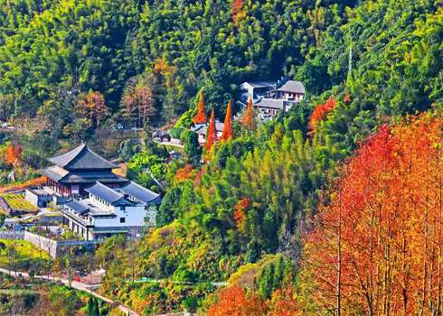 杨岐普通寺